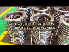 Selecção dos foles