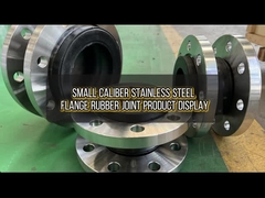 Junção de borracha de flange de aço inoxidável